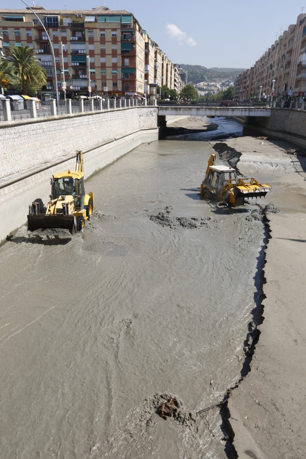 Fotos Limpieza De Sedimentos En El R O Genil Tras La Tormenta Ideal